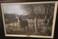 Turkey River Monarch