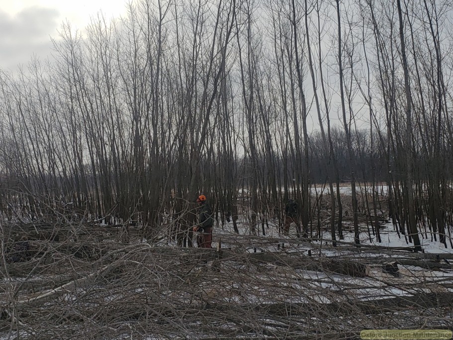 20200120_100025.jpg
