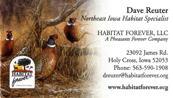 Dave Reuter's Business Card