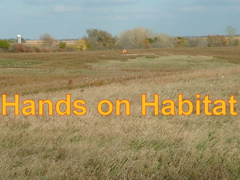 Hands on Habitat