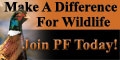 PF Membership