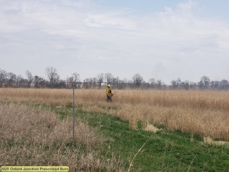 20200408_120500.jpg