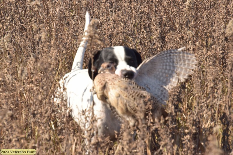DSC_0412.JPG