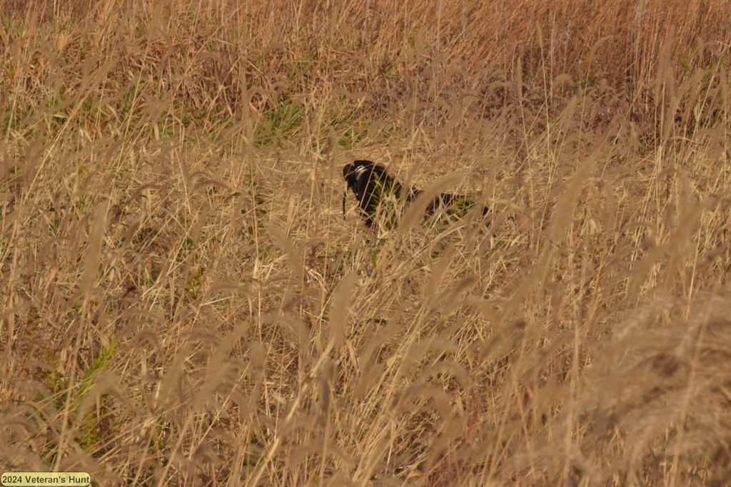 DSC_0683.JPG