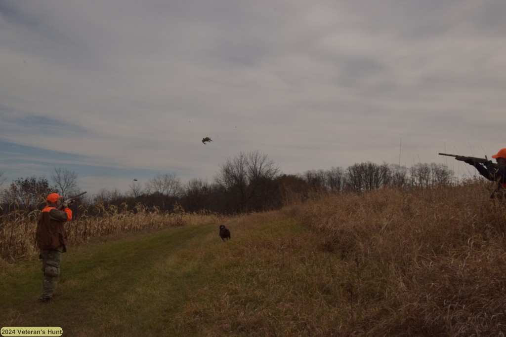 DSC_0823.JPG