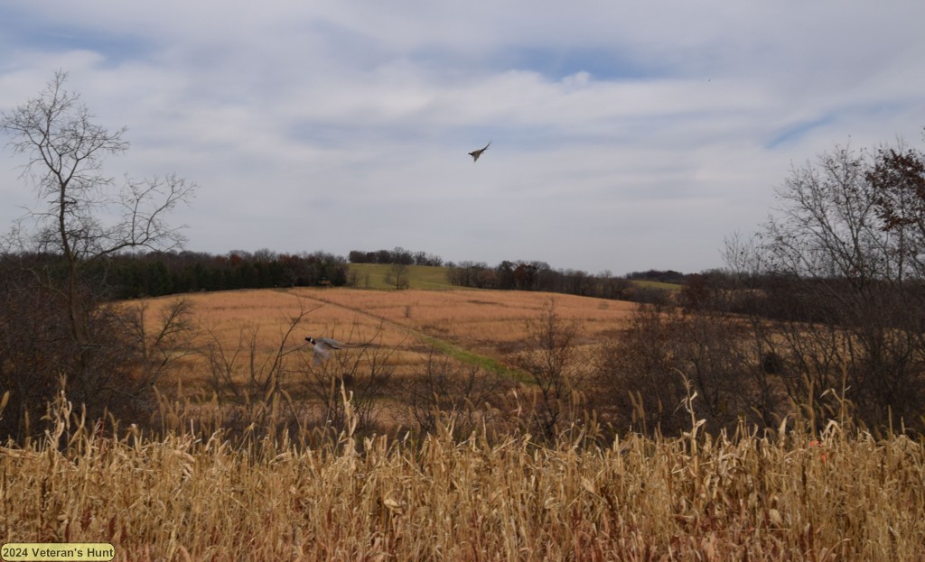 DSC_0852.JPG