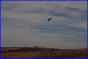 DSC_0807.JPG