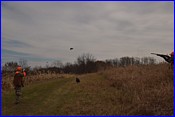 DSC_0823.JPG