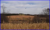 DSC_0852.JPG