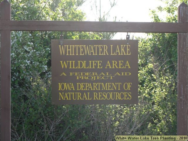 white water 001.jpg