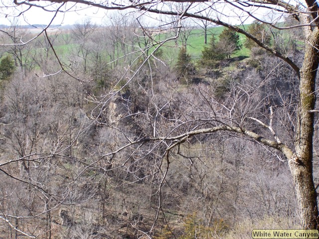 100_0105.JPG