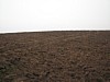 IMG_3268.jpg