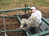 IMG_3346.jpg