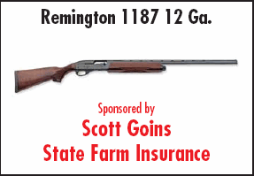Remington 1187 12 Ga.