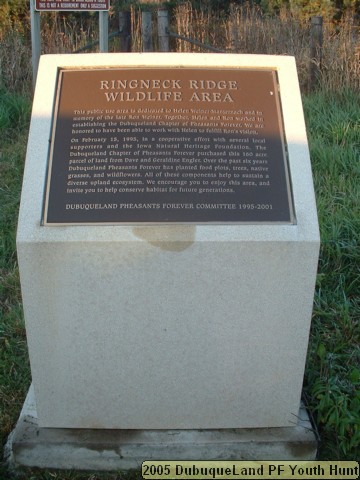 yhunt_001.jpg